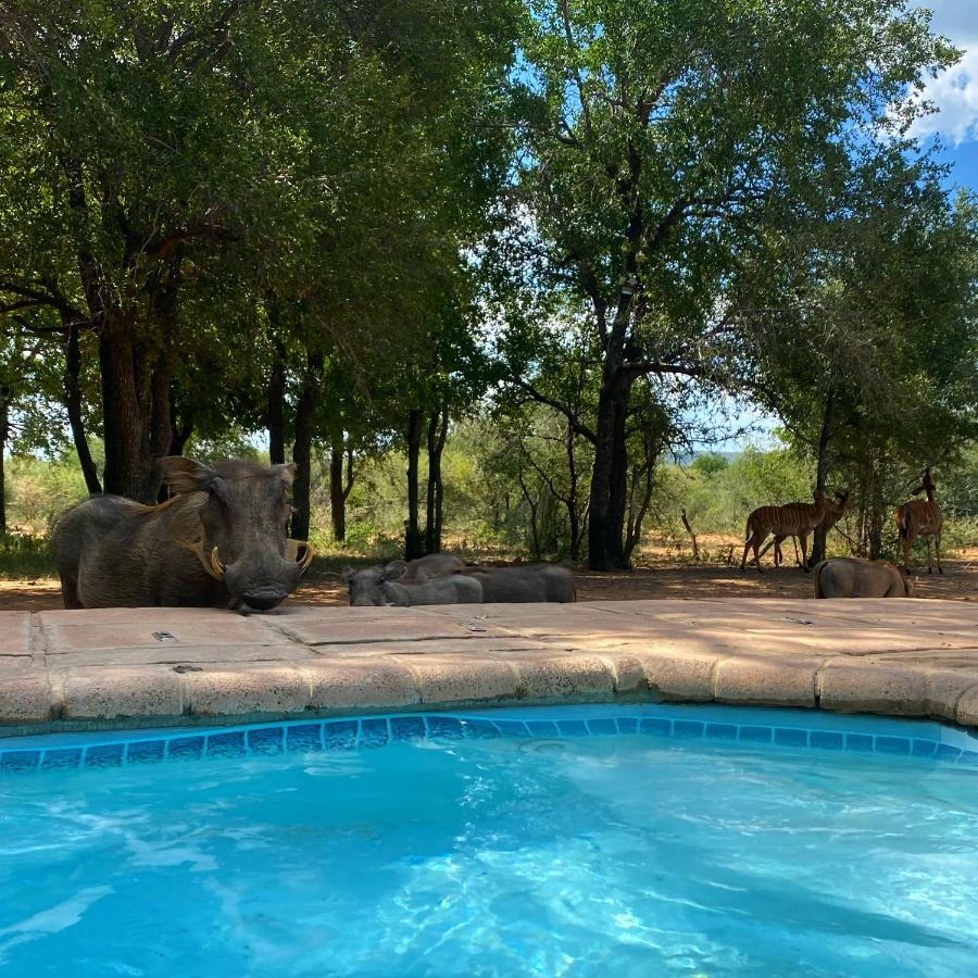 Twiga Lodge Mabalingwe Bela-Bela Exterior foto